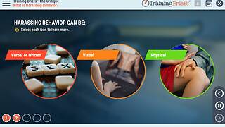 TrainingBriefs® The Critique