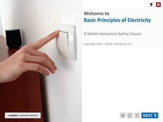 Basic Principles of Electricity™