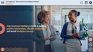 TrainingBriefs® Why Emotional Intelligence Matters