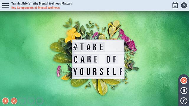 TrainingBriefs® Why Mental Wellness Matters