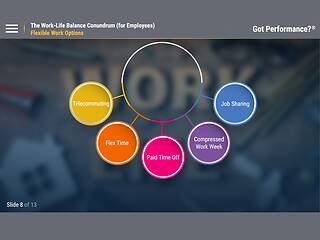 Got Performance?® The Work-Life Balance Conundrum (for <mark>Employees</mark>)™