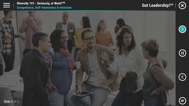 LearningBytes® Diversity 101 – Seriously, at Work?™